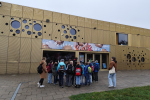 IMG 20241106 092721